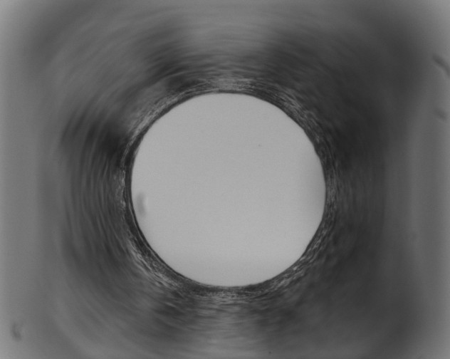 X0000102040146200807181038