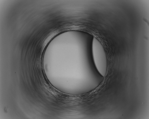 X0000102040147200807181038