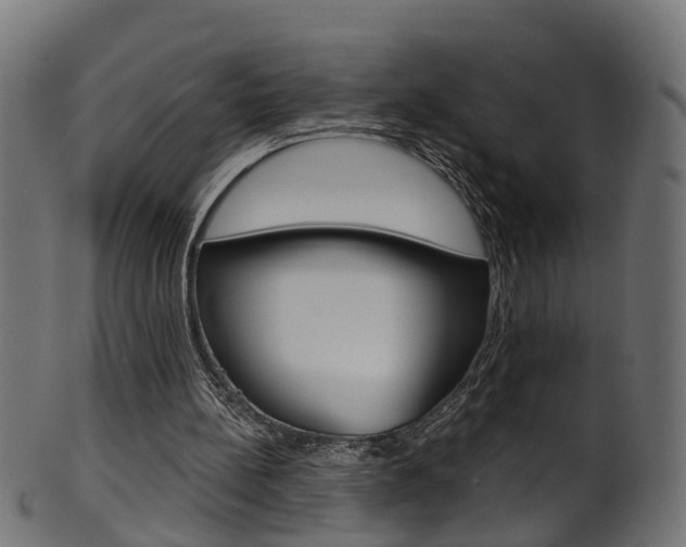 X0000102040148200807181038