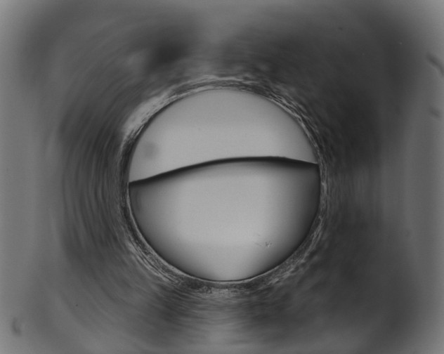 X0000102040149200807181038