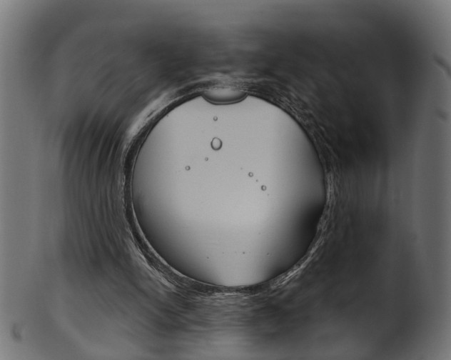 X0000102040150200807181038