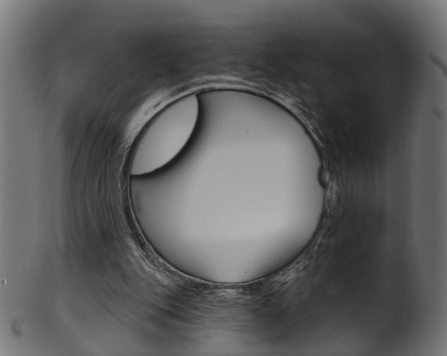 X0000102040151200807181038