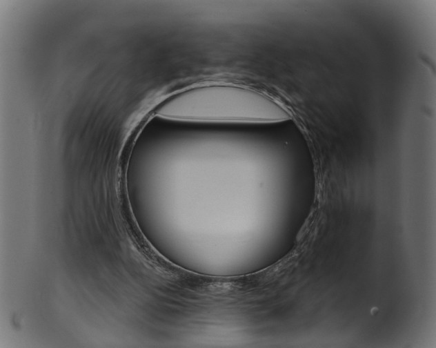 X0000102040152200807181038
