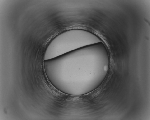 X0000102040153200807181038