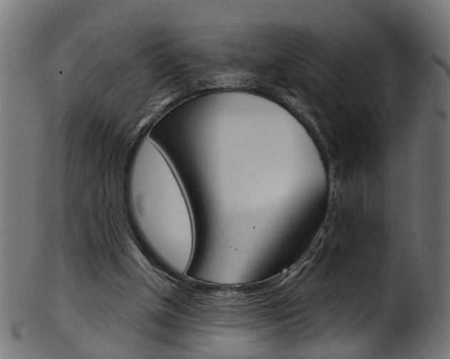 X0000102040154200807181038