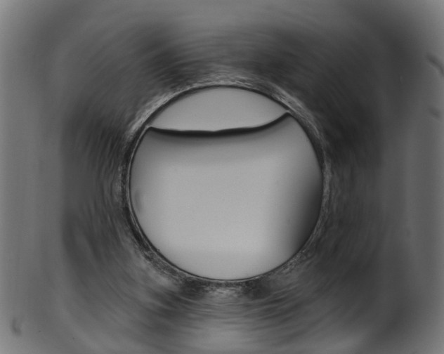 X0000102040155200807181038