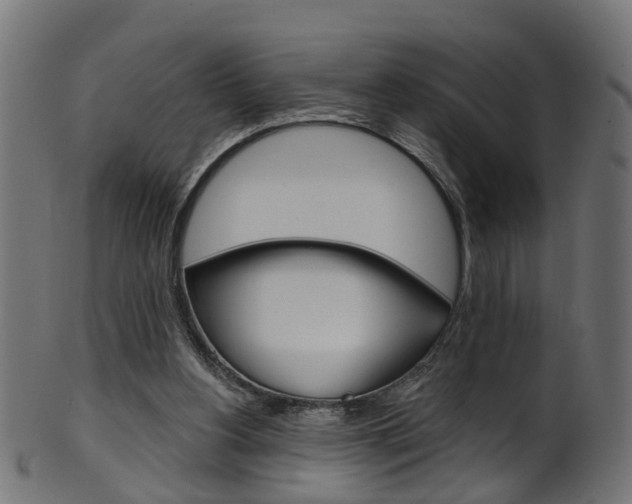 X0000102040156200807181038