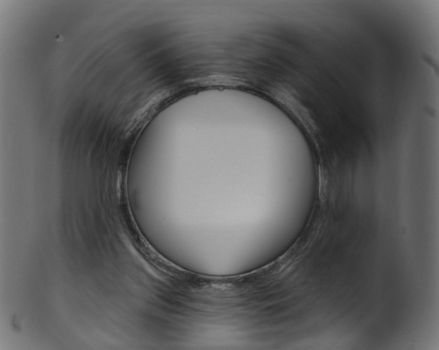 X0000102040157200807181038