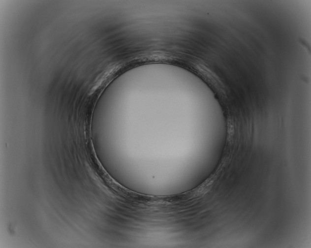 X0000102040158200807181038
