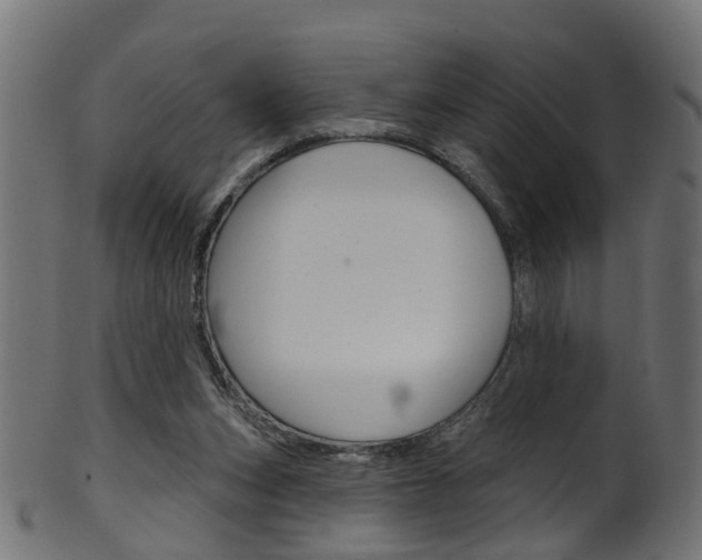 X0000102040159200807181038