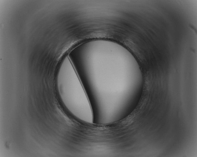 X0000102040160200807181038
