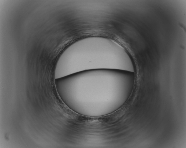 X0000102040161200807181038