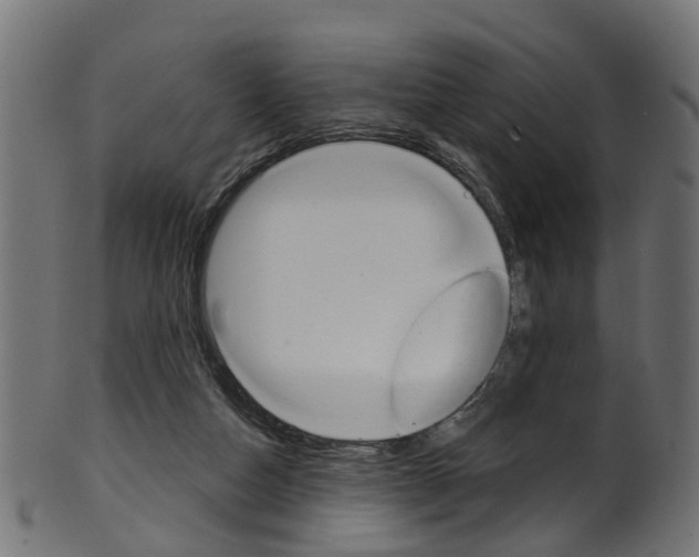 X0000102040162200807181038