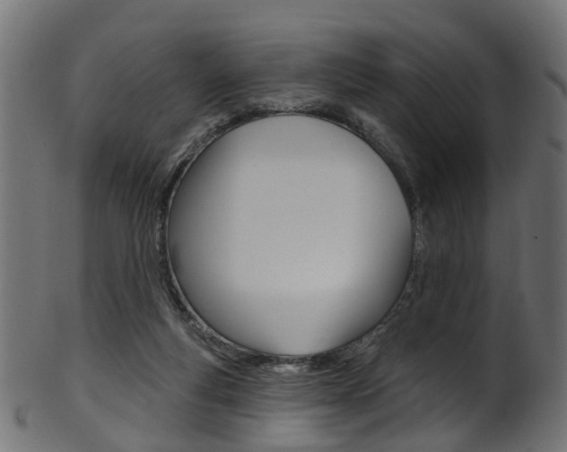 X0000102040163200807181038