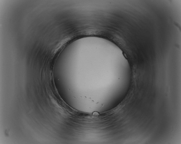 X0000102040164200807181038