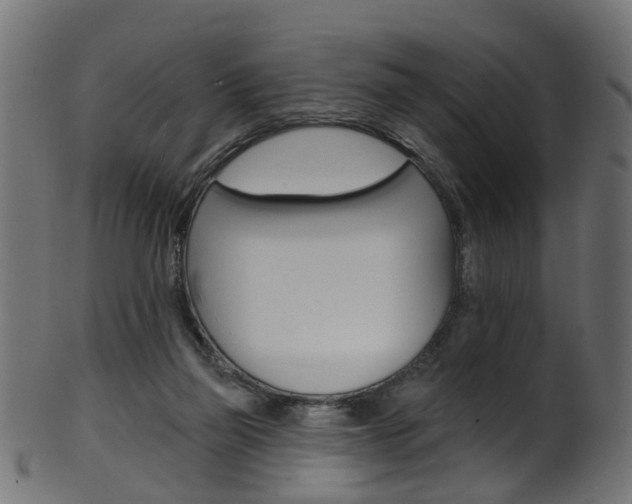 X0000102040165200807181038
