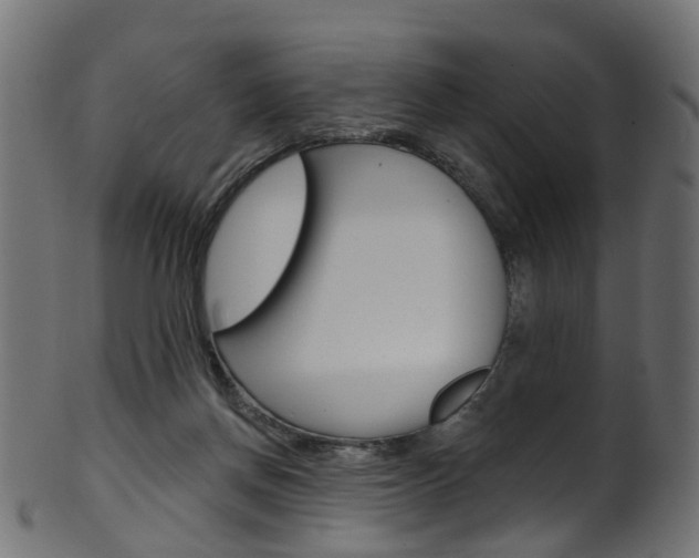X0000102040166200807181038