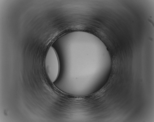 X0000102040168200807181038