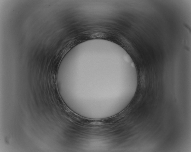 X0000102040169200807181038