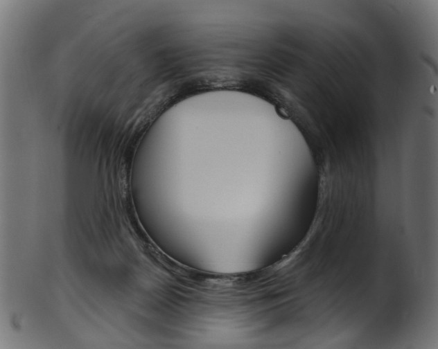X0000102040170200807181038