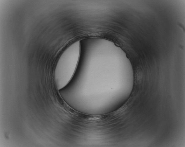 X0000102040172200807181038