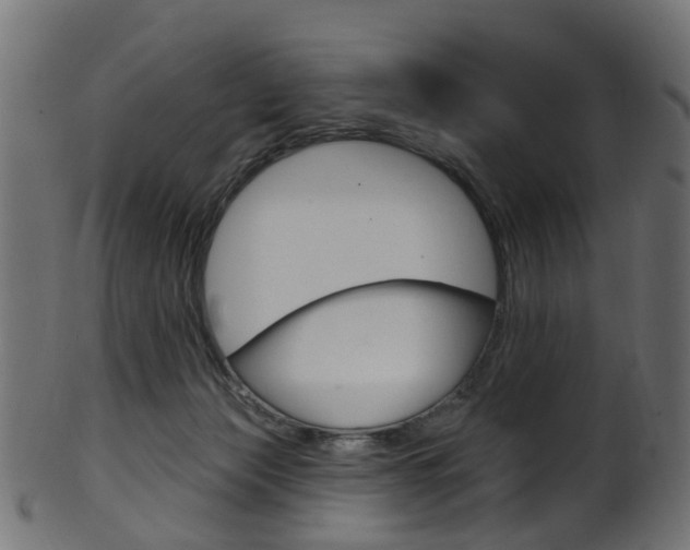 X0000102040173200807181038