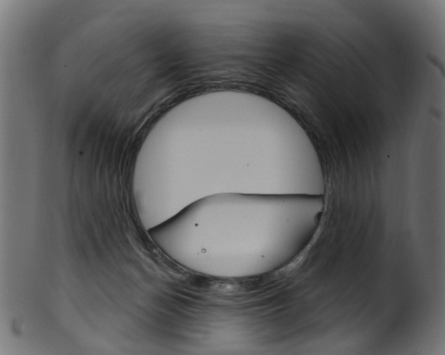 X0000102040174200807181038