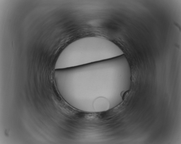 X0000102040175200807181038