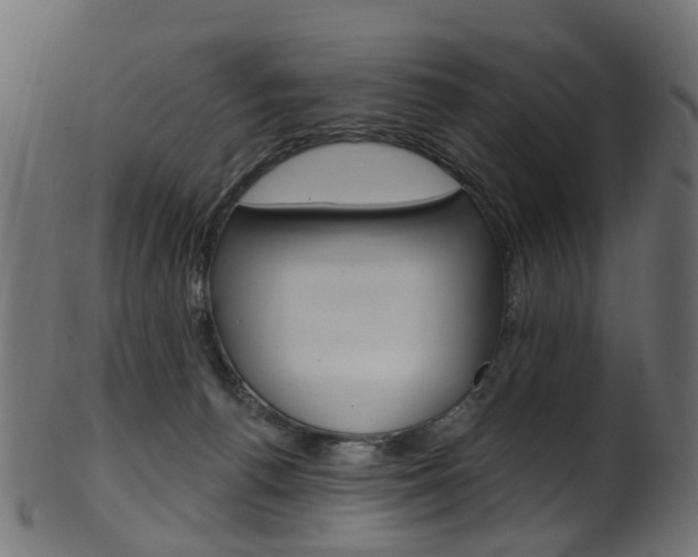 X0000102040176200807181038