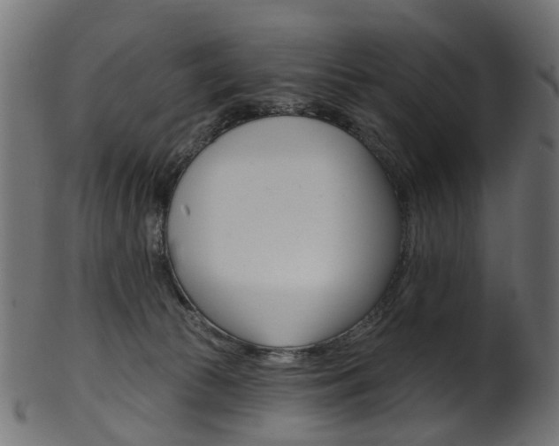 X0000102040177200807181038