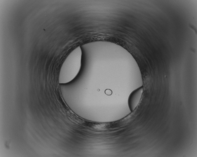 X0000102040178200807181038