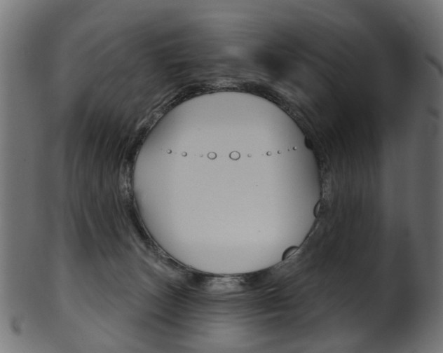 X0000102040179200807181038