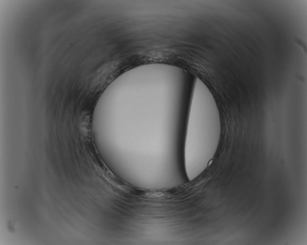 X0000102040181200807181038