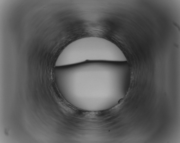 X0000102040182200807181038