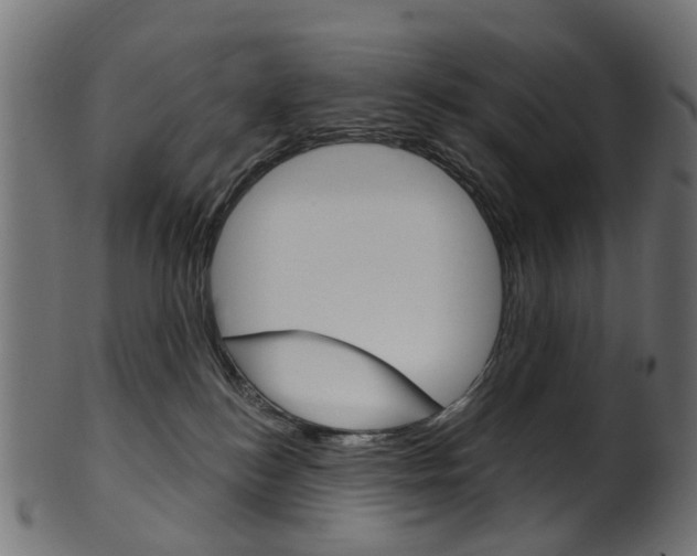 X0000102040184200807181038