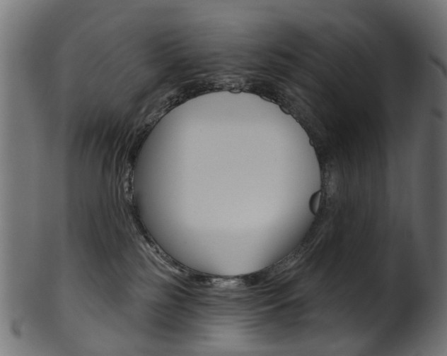 X0000102040185200807181038