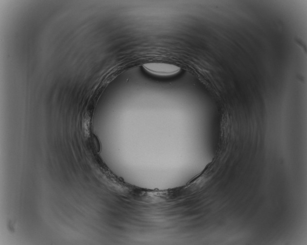 X0000102040188200807181039