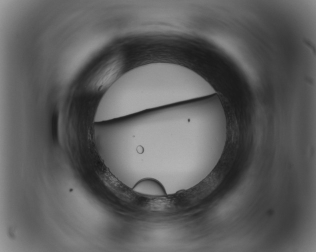 X0000102040189200807181039