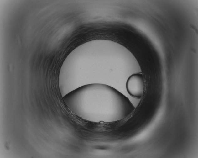 X0000102040190200807181039