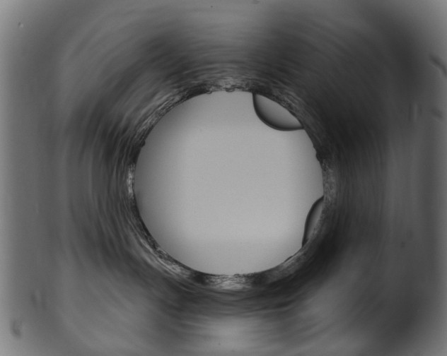 X0000102040191200807181039