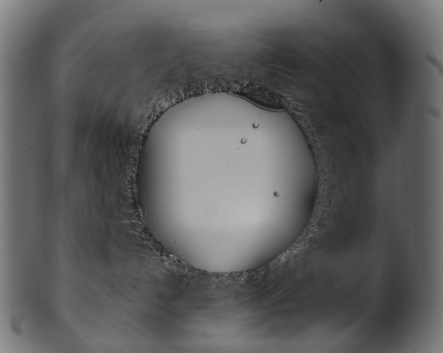 X0000102040192200807181039