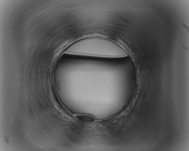 X0000102040193200807181038