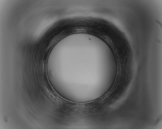 X0000102040194200807181038