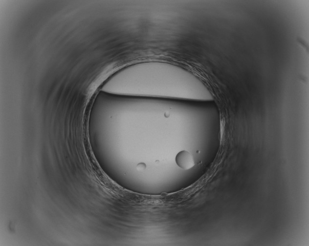 X0000102040195200807181038