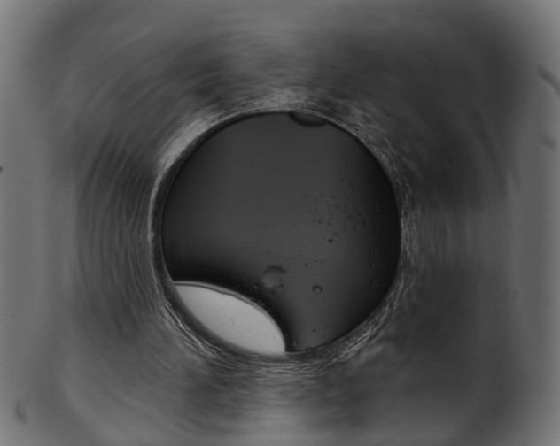 X0000102040196200807181038