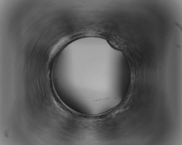 X0000102040197200807181038