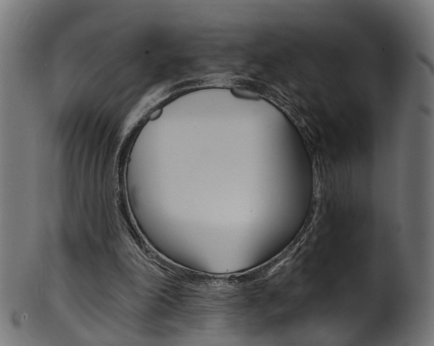 X0000102040198200807181038