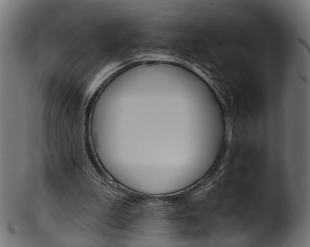 X0000102040199200807181038