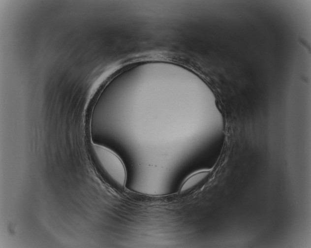X0000102040200200807181038