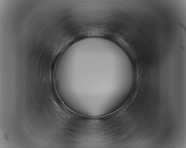 X0000102040202200807181038